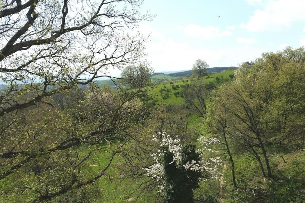 Gite Les Cadichons De La Grange Saint-Péray エクステリア 写真